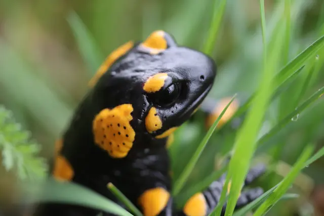 TROPFNASS? und voller LEBEN...