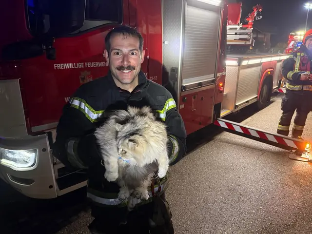 Katze gerettet! | Foto: FF WRN