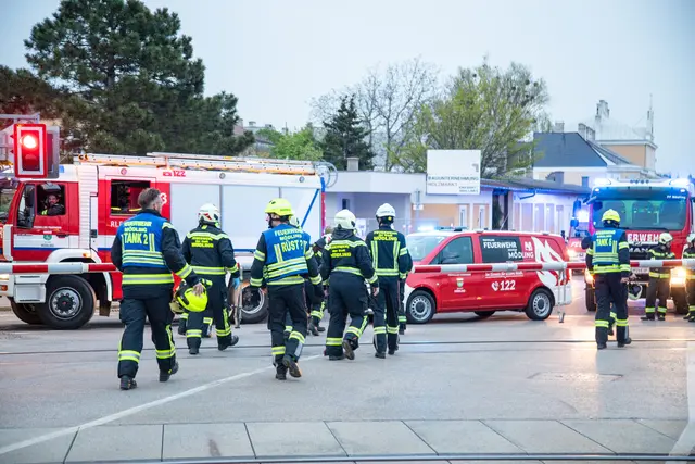 Foto: ffmoedling.at