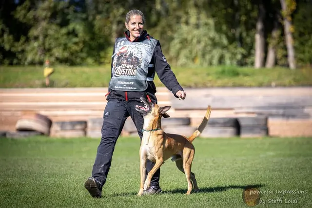 Aufmerksamkeit ist das A und O beim Arbeitshundesport | Foto: Steffi Loidl