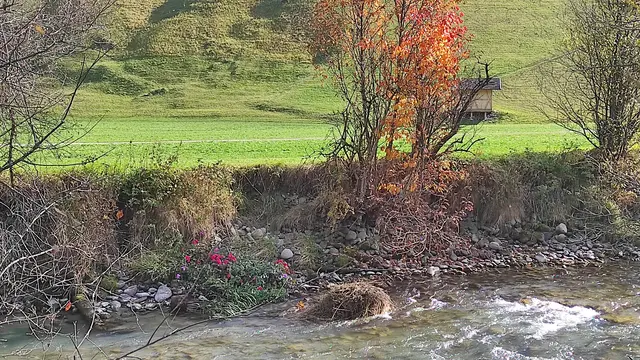 illegale Ablagerung an den Bächen nicht erlaubt | Foto: TBW Est. Stubai