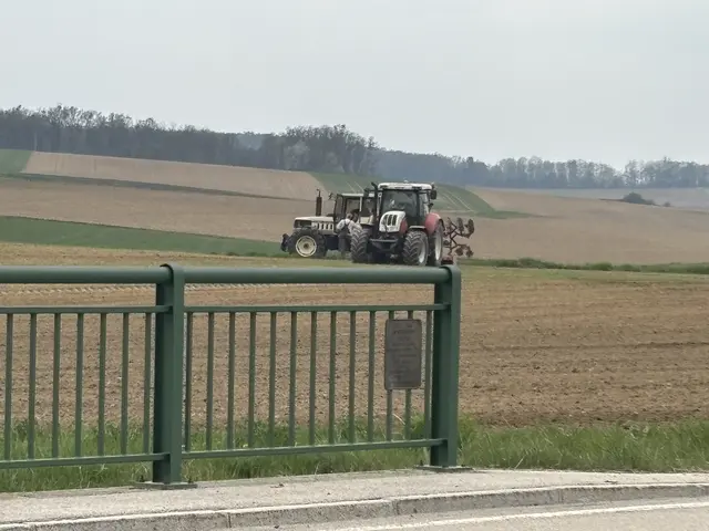 Arbeiten ohne Gewinn: Landwirtschaft vor dem Kollaps? | Foto: Alexandra Goll