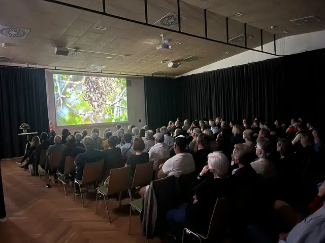 Beeindruckende Bilder vom Inneren eines Bienenstockes | Foto: St. Veit in der Südsteiermark