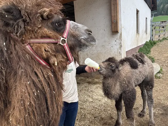 Foto: MeinBezirk