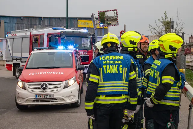 Foto: ffmoedling.at