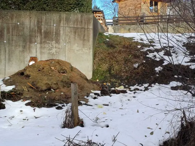 Grasschnitt auf eigenem Grund muss fachgerecht kompostiert werden oder gehört zum Recyclinghof! | Foto: TBW Est. Stubai