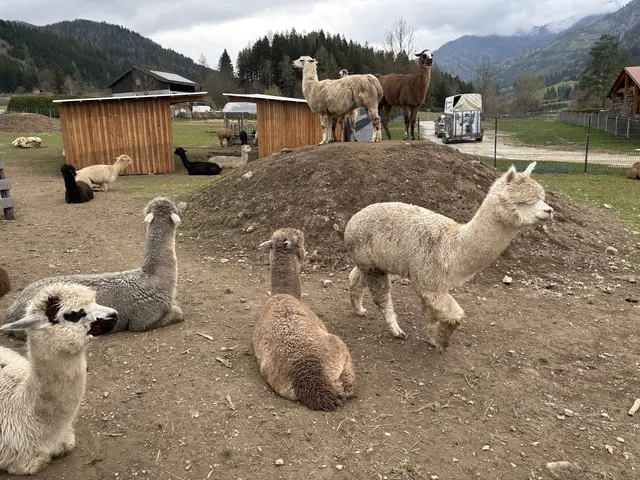 Foto: MeinBezirk