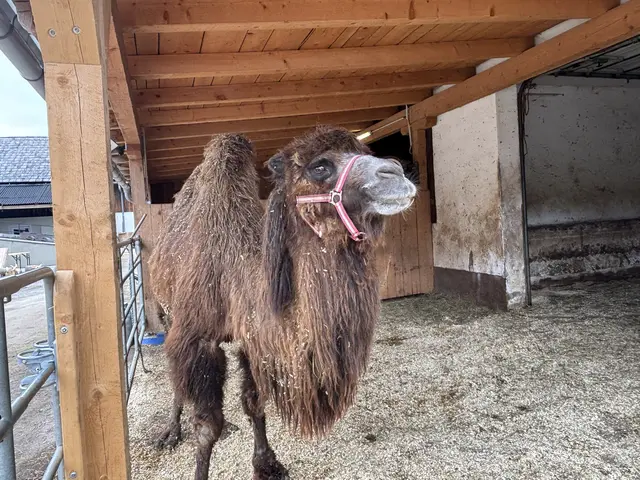Foto: MeinBezirk