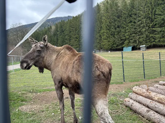 Foto: MeinBezirk