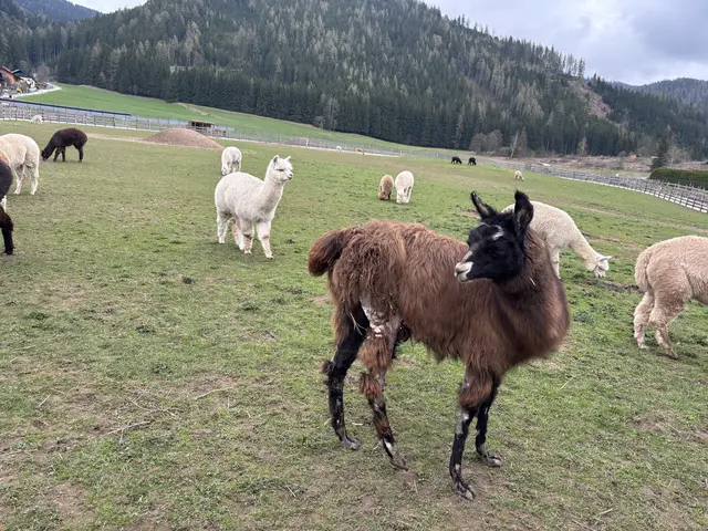 Foto: MeinBezirk