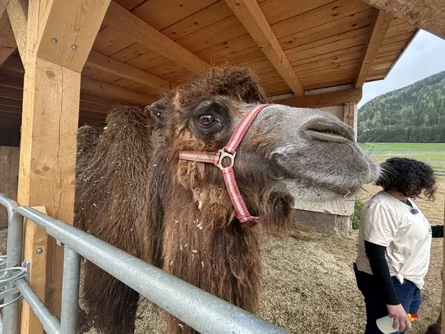 Foto: MeinBezirk