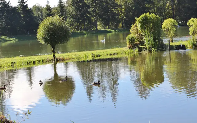 Wanderung zu den Wundschuher Teichen