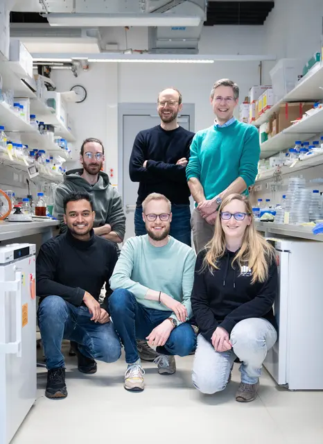 ISTA-Kooperation zwischen den Gruppen von Martin Loose und Florian Schur. Hinten, von links nach rechts: Roman Hajdu, Martin Loose, Florian Schur. Vorne, von links nach rechts: Manjunath Javoor, Benjamin Springstein, Bettina Zens. | Foto: ISTA