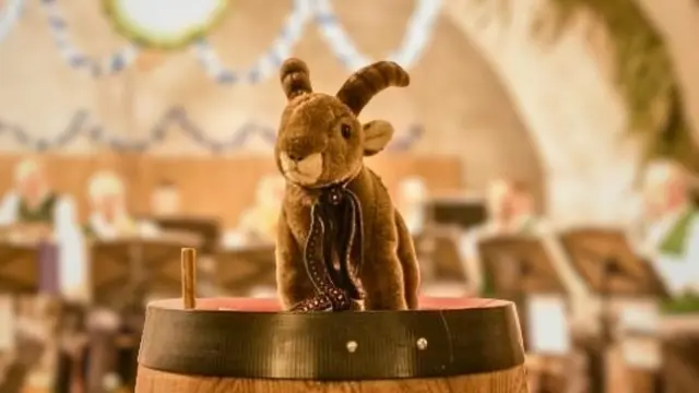 Bock Leopold nach Silbermedaille beim Landesbewerb entführt