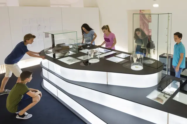 Die umfassende Modernisierung schafft neue Räume und Perspektiven für die Präsentation keltischer Geschichte. | Foto: Keltenmuseum Hallein