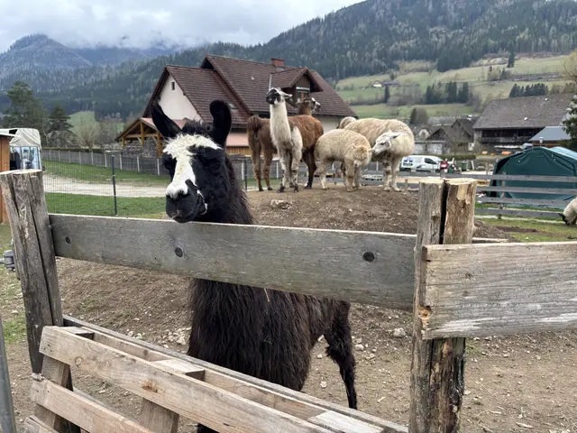 Foto: MeinBezirk