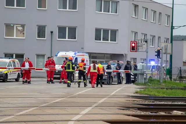Foto: ffmoedling.at