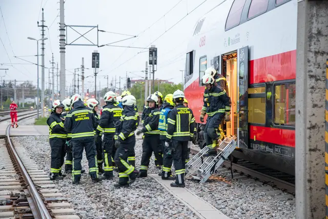 Foto: ffmoedling.at