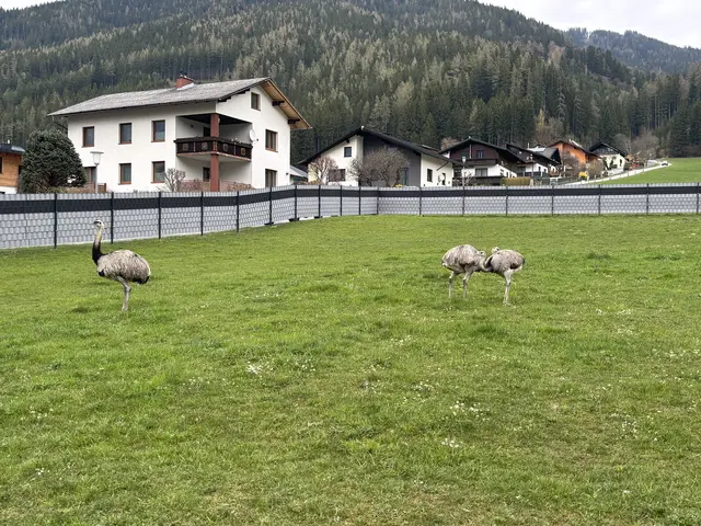 Am Hof sind Tiere aller Kontinente vertreten. | Foto: MeinBezirk