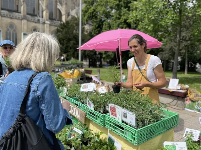 Bio Austria OÖ lädt zum Jungpflanzentag am Linzer Domplatz
