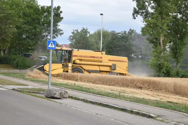 Bauern am Limit: Wenn Diesel und Dünger unbezahlbar werden | Foto: Alexandra Goll