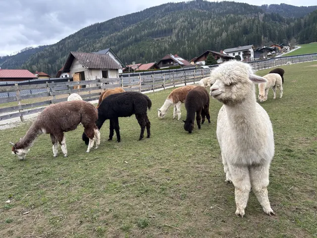 Foto: MeinBezirk