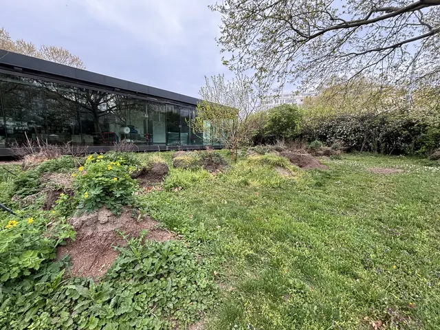 Wie es mit dem ehemaligen Karlsgarten weitergeht