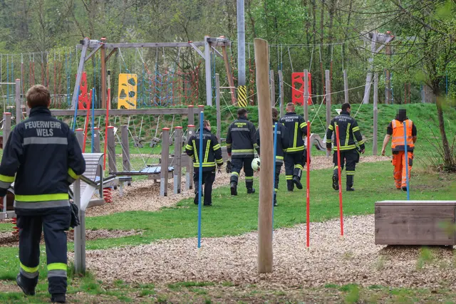Drei Rehe verirrten sich in den Motorikpark sowie in einen Privatgarten in Wels-Lichtenegg. Für zwei Rehböcke kam aber jede Hilfe zu spät. | Foto: laumat.at