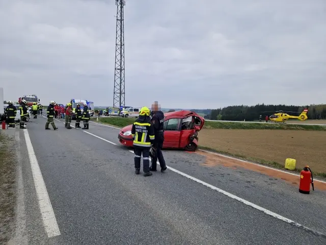 Alarmiert waren die Feuerwehren Stögersbach, Scheideldorf und Schwarzenau sowie die Feuerwehren Echsenbach und Göpfritz/Wild. | Foto: FF Göpfritz an der Wild