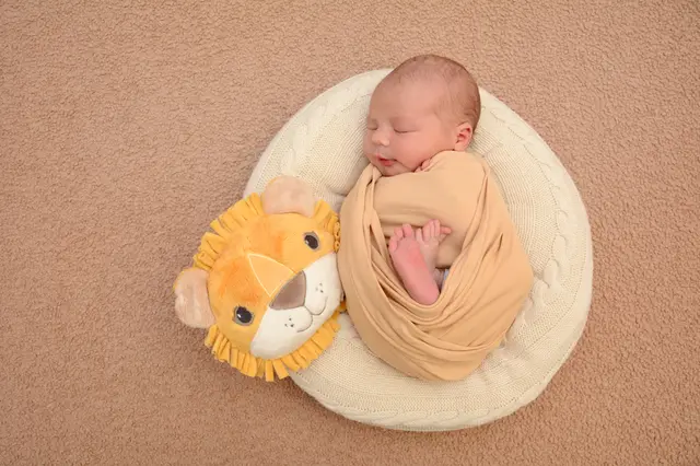 Name: Finn
Geburtsdatum: 19.03.2026
Gewicht: 3.830 g
Größe: 51 cm
Eltern: Waltraud Feiertag-Raith und Marin Feiertag-Raith aus St. Lorenzen im Mürztal | Foto: Babysmile