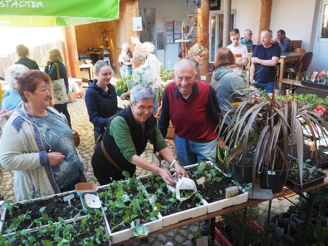 Pflanzlmarkt trifft am 1. Mai Kunsthandwerk