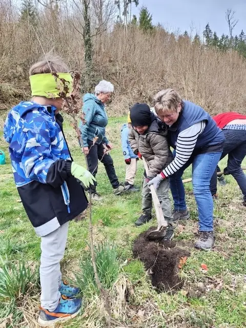 Gemeinsam wurden Löcher gegraben und die Eichen darin gepflanzt. | Foto: Gemeinde Niederwaldkirchen