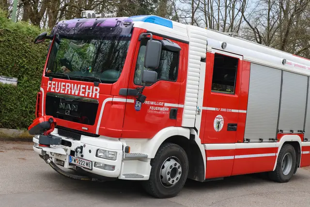 Drei Rehe verirrten sich in den Motorikpark sowie in einen Privatgarten in Wels-Lichtenegg. Für zwei Rehböcke kam aber jede Hilfe zu spät. | Foto: laumat.at