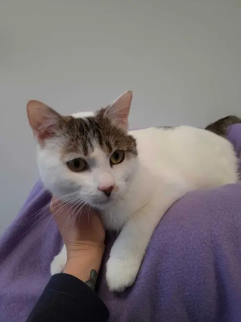 Unsere „Lieblinge der Woche“