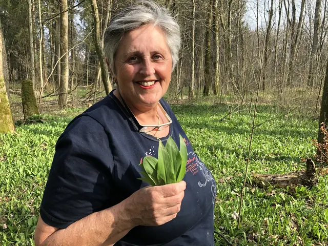 Tipps für das Sammeln in den Salzburger Auenwäldern