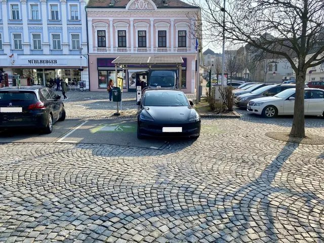 Hier konnte sich wohl jemand nicht ganz für eine Ladesäule entscheiden – und hat im Zweifelsfall einfach beide reserviert.  | Foto: Privat