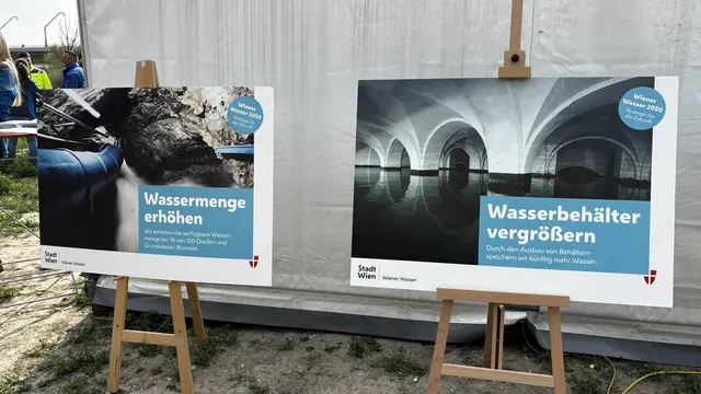 Foto: Andreas Pölzl/ MeinBezirk