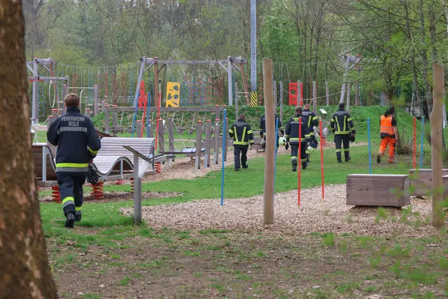 Drei Rehe verirrten sich in den Motorikpark sowie in einen Privatgarten in Wels-Lichtenegg. Für zwei Rehböcke kam aber jede Hilfe zu spät. | Foto: laumat.at