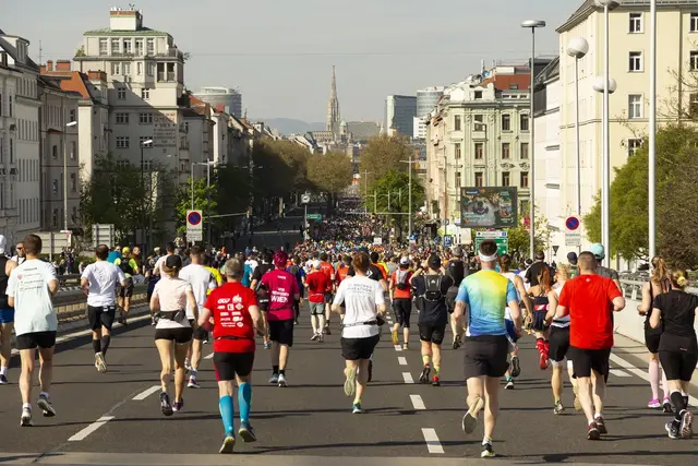 Verkehrssperren voraus, Herrl beißt Hund, WG für junge Straftäter