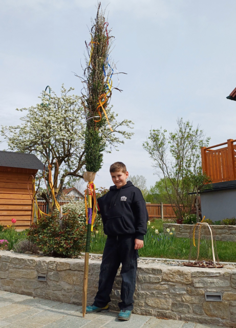 Traditionsarbeit, die sich sehen lassen kann: Simon Kurzmann aus Fernitz präsentiert seinen Palmbuschen, mit dem er bei der diesjährigen Oster-Challenge auf MeinBezirk große Aufmerksamkeit erzielte. | Foto: Kurzmann
