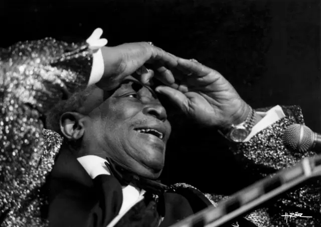 Zahlreiche Weltstars standen in der Vergangenheit auf der Bühne, darunter auch B.B. King der "King of the Blues".  | Foto: Helmut Riedl