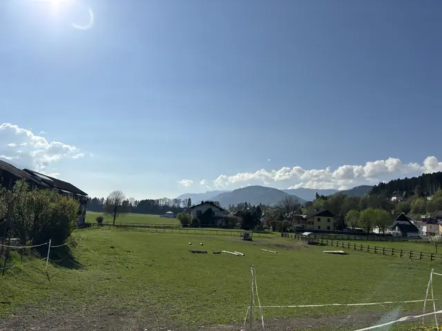 Foto: MeinBezirk.at/Chiara Kresse