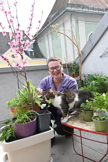 Linz sucht die schönsten Gärten