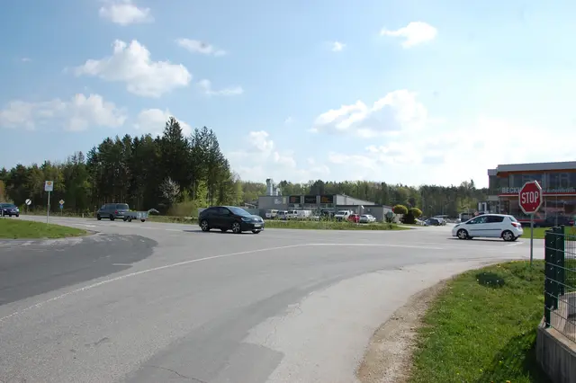 Foto: Dietmar Hammerl