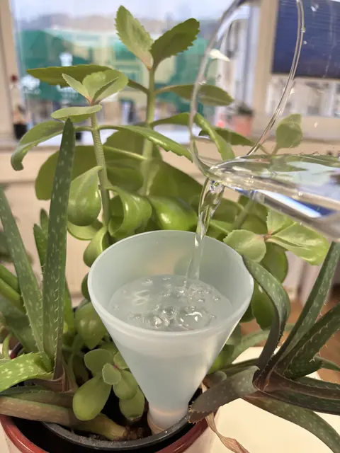 Das Wasser wird zeitversetzt an das Erdreich im Blumentopf abgegeben. | Foto: Stefan Fügenschuh