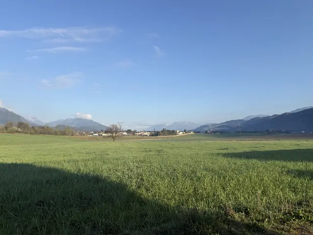 Foto: MeinBezirk.at/Sophia Gasperschitz