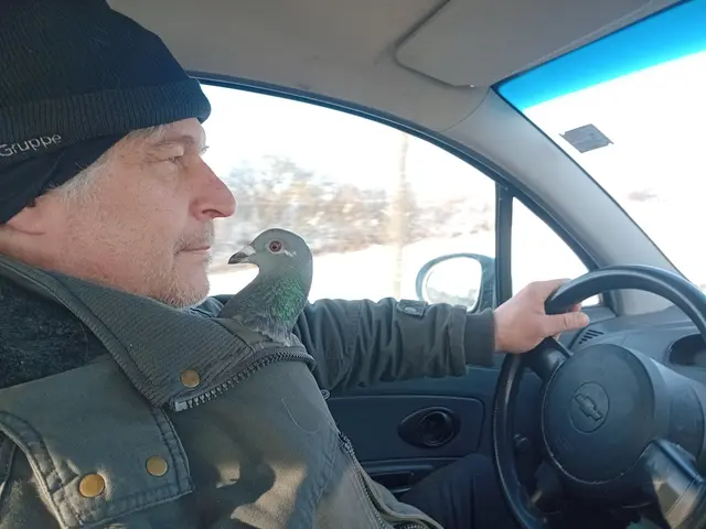 Dorothea fährt auch brav im Auto mit. | Foto: Bübl