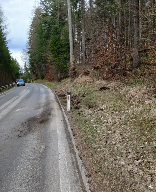 Pkw überschlägt sich - eine Person leicht verletzt