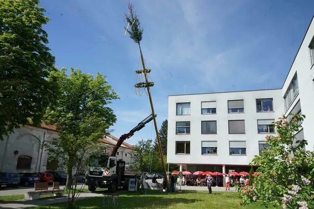 Steyrer Alten- und Pflegeheime laden zum Maibaumaufstellen ein