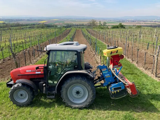 Foto: Weingut Wimmer